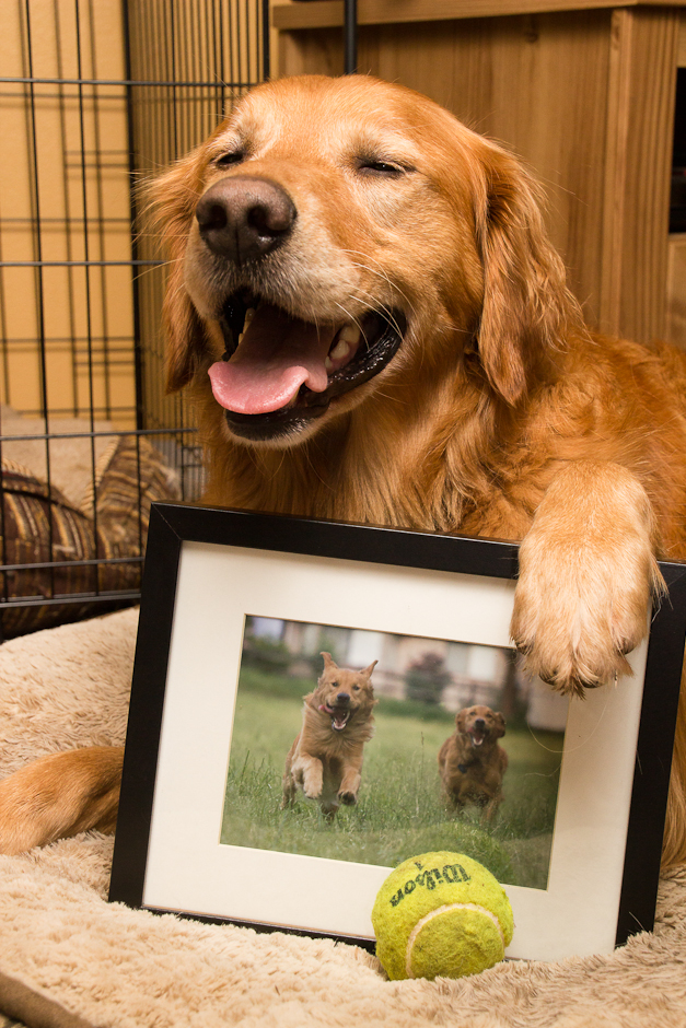 Golden Frame