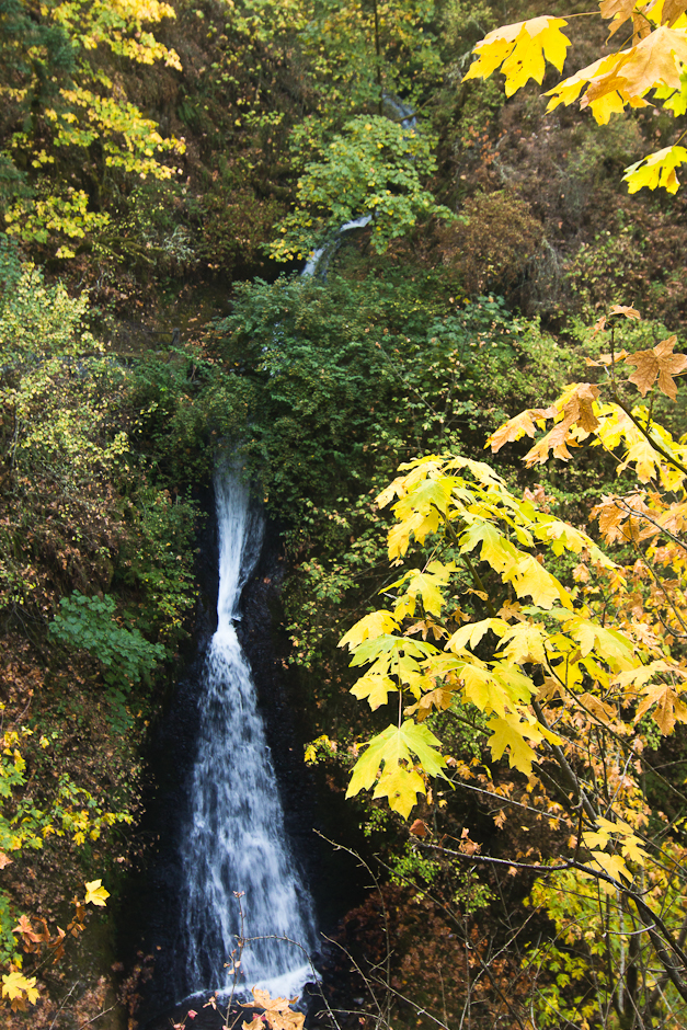 Shepherds Dell Falls with Fall colors