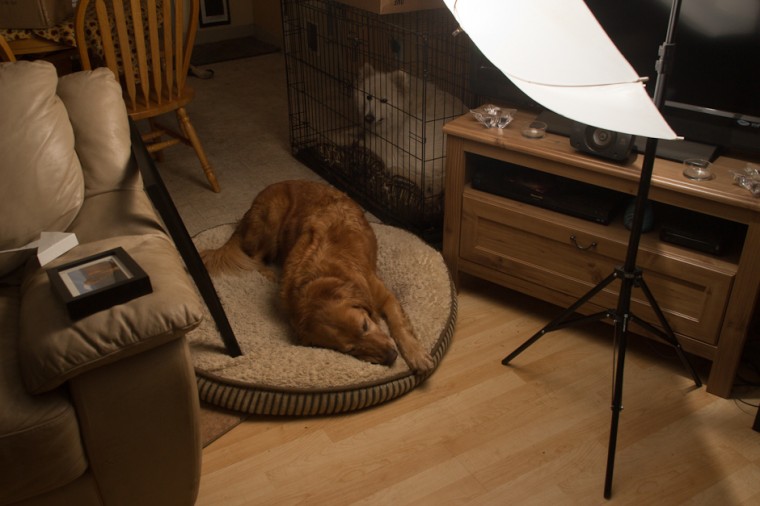 POTW Frame Light setup