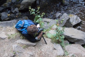 Photography Lesson Composition at Latourell Falls