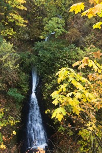 Shepherds Dell Falls with Fall colors