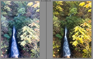 Before and After of Shepherds Dell Falls