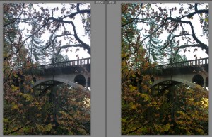 Shepherds Dell Bridge Before and After Editing