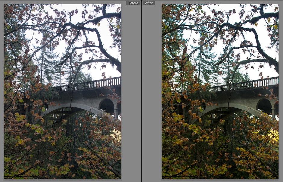 Shepherds Dell Bridge Before and After Editing