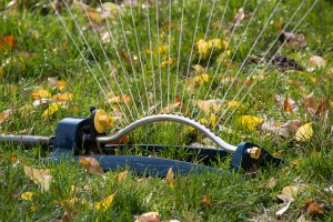 Sprinkler in the Fall