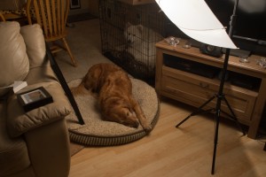 POTW Frame Light setup